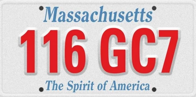 License Plate 2