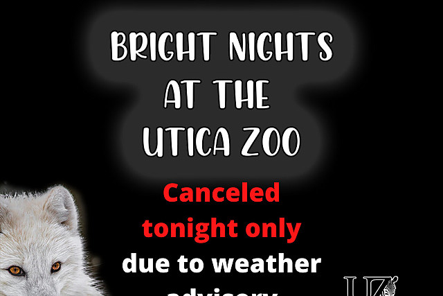 Tonight Only: Weather Forces Cancellation of Utica Zoo's Bright Nights