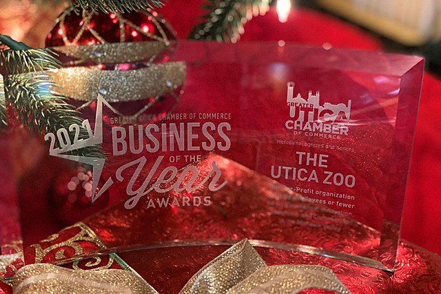 Utica Zoo Named Business Of The Year By Utica Chamber Of Commerce
