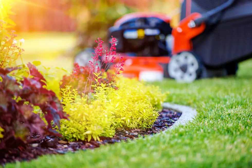 Why Are New Yorkers Being Pressured into “Slow Mow Summer”?
