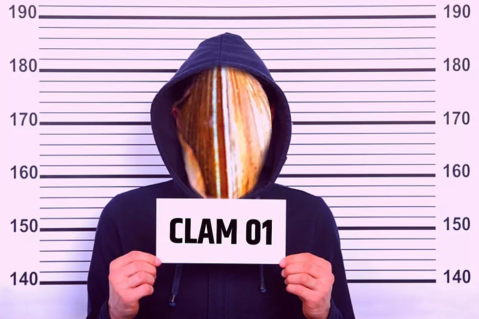 A Clammy Crime; Person Steals Over 700 Clams In New York State