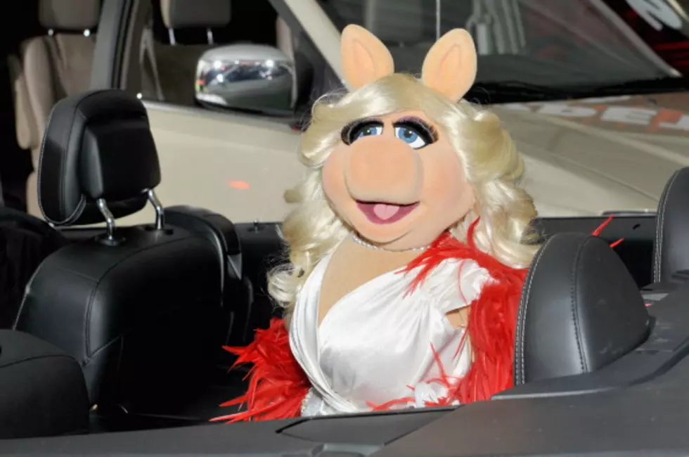 Miss Piggy is Recipient of Prestigious New York Museum Award