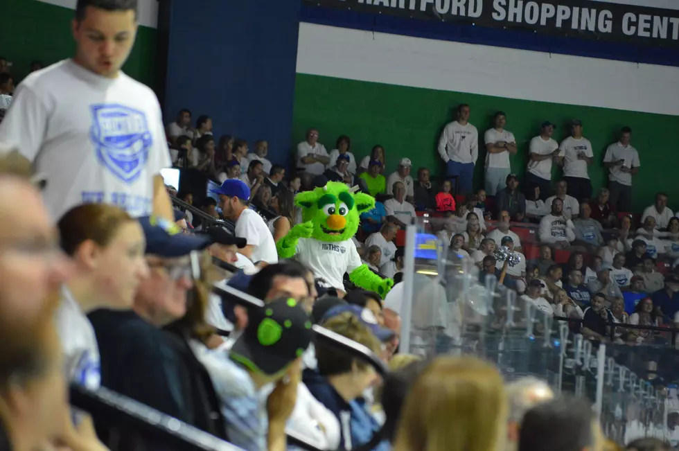 AHL Cancels Remainder Of 2019-20 Season