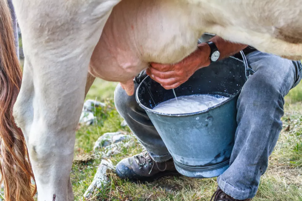Schumer Joins Officials Working On US-Canada Dairy Dispute