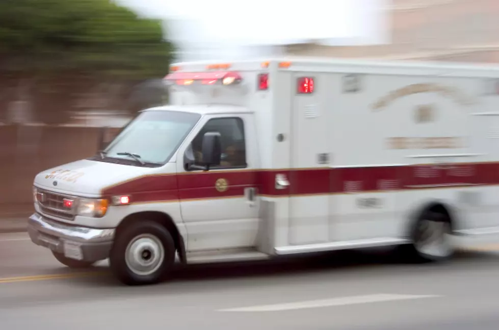 NY Man Dies After Being Struck By Bull On Farm