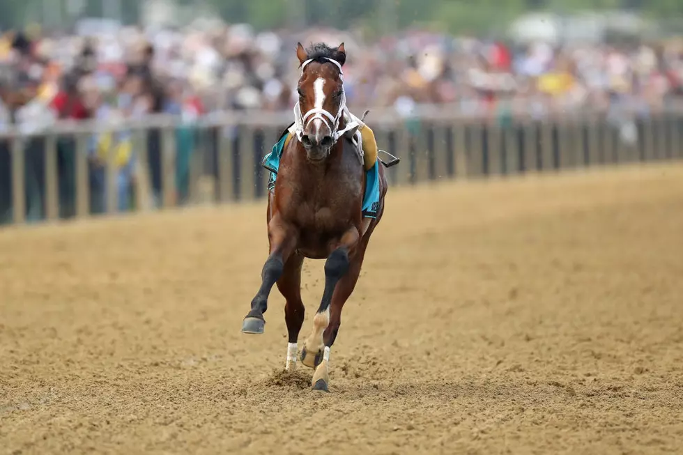 War of Will Wins Preakness Featuring Riderless Running Horse