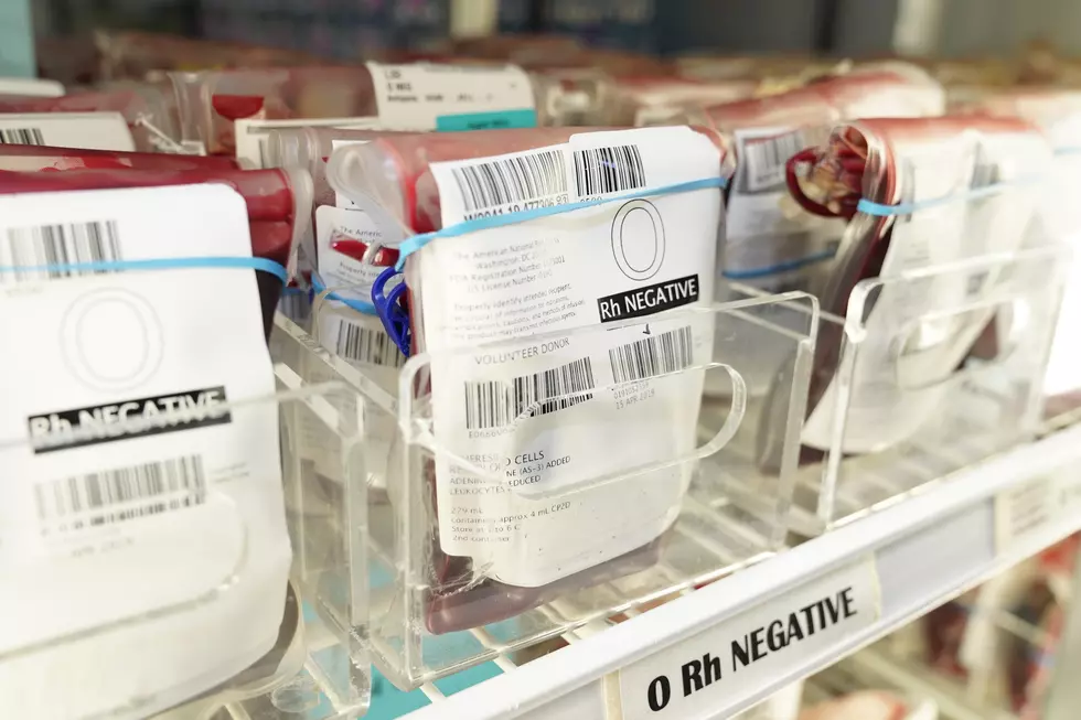 photo courtesy of American Red Cross