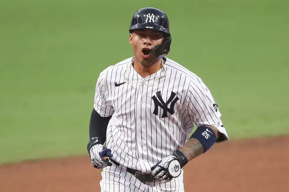 Mountain Ice Lands New York Yankees Spokesperson