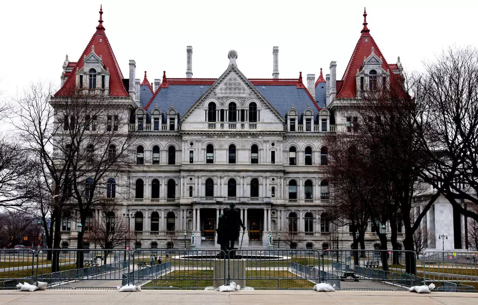 Bianca’s Law Awaits Governor’s Signature, May Become NY Law Soon