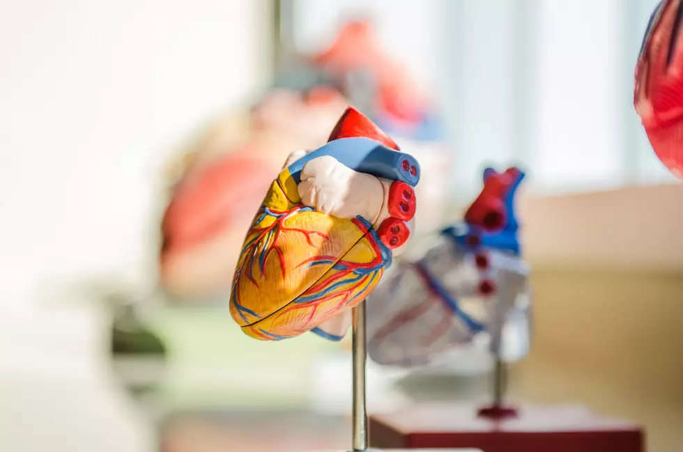 In 1st, US Surgeons Transplant Pig Heart into Human Patient