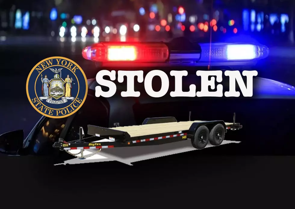 Troopers Say Upstate NY Man Used a Pellet Gun to Rob a Local Family