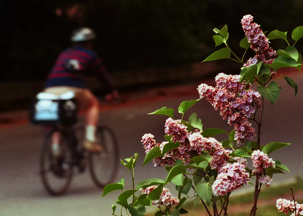 You’re Not Imagining It: Allergy Season Is Getting Worse