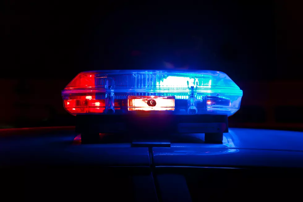 4 Hospitalized, Horse Killed in Horse and Buggy Accident in Deerfield