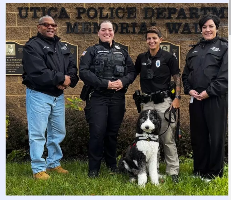 Utica Police Lead Groundbreaking Efforts to Improve Mental Health Support in the City