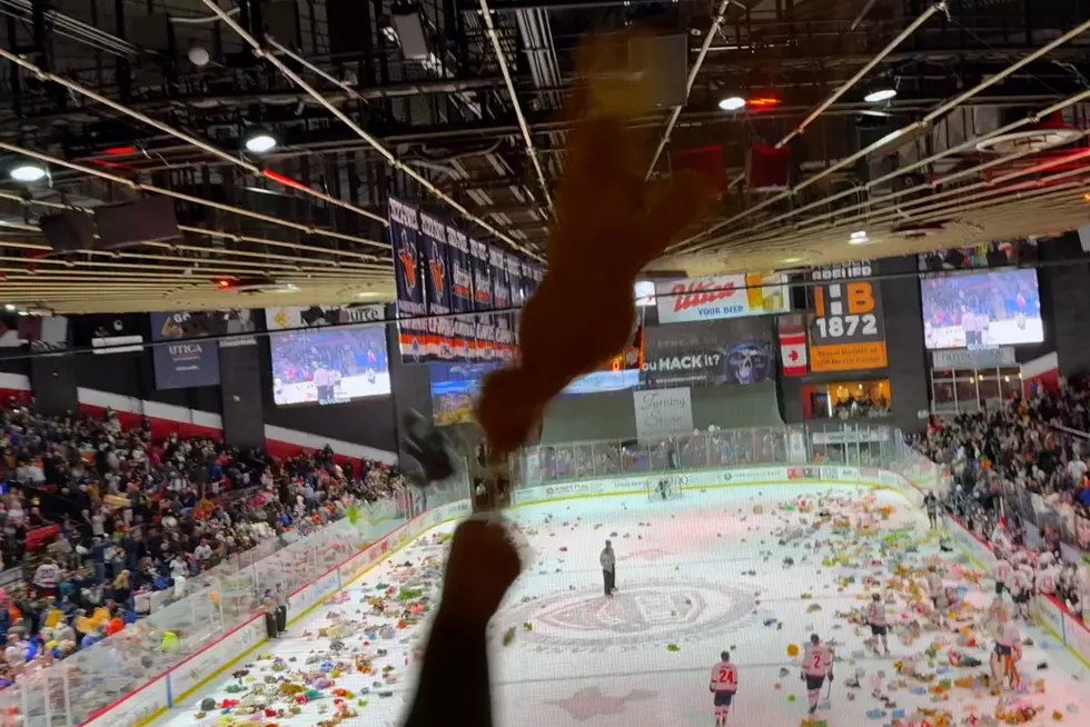 New York Sash Teddy Bear Toss Reaches 20 Year Milestone