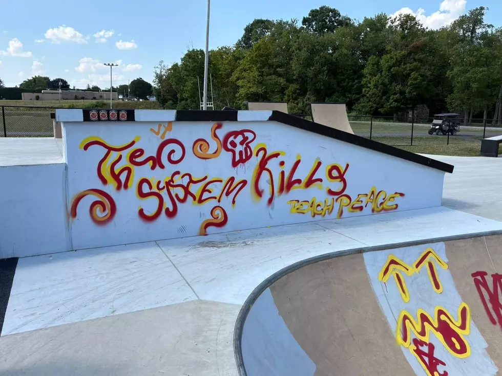 Skateboard Park Vandalized – Cleaned Up by Utica DPW