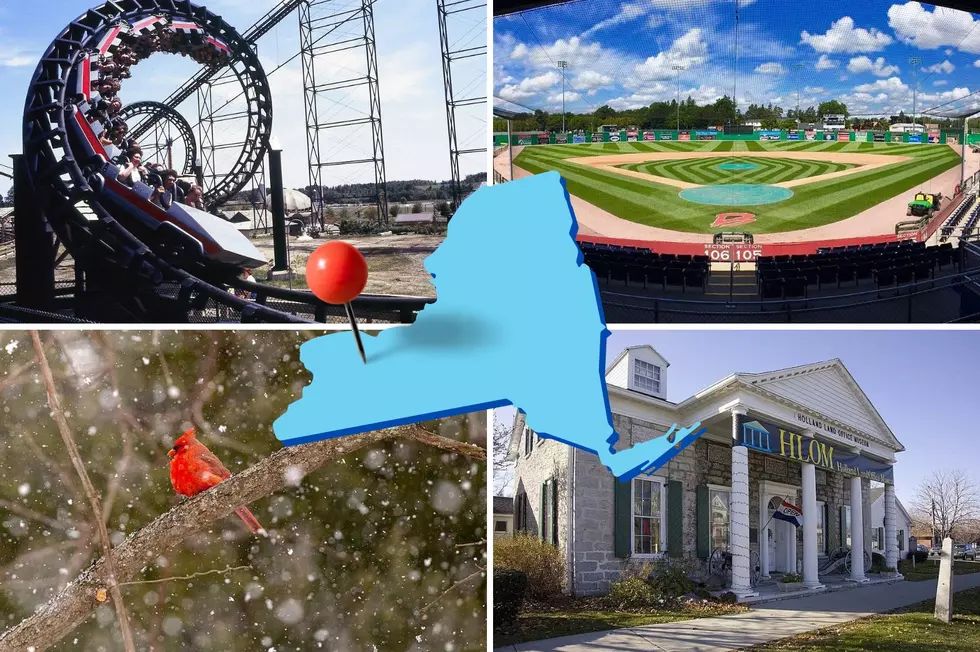 New York Road Trip: Genesee County in the Spotlight!
