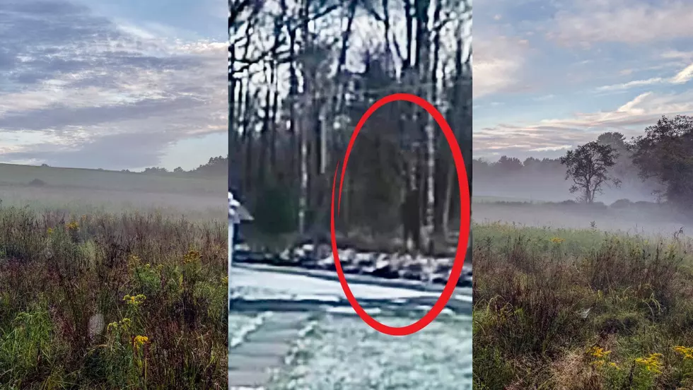 Was Bigfoot Captured on Ring Camera in Hurleyville, New York?